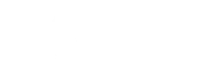 Visa Logo